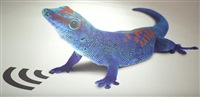 blue gecko