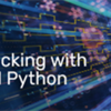 Training Insights – Webinar – Automating Bug Tracking with Verisium Debug and Python