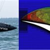 Targeting 80 Knots, Syroco Aims to Shatter Sailing Speed Record!