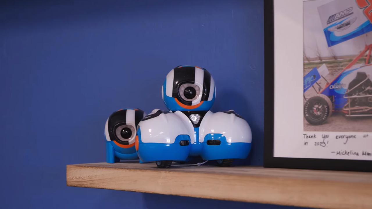  Several robotic cameras