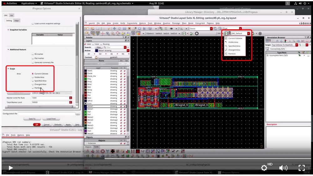 Demo: How to Define the Scope for iPegasus DRC Runs? (Video)