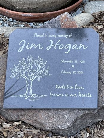  jim hogan's tree