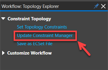   Update Constraint Manager