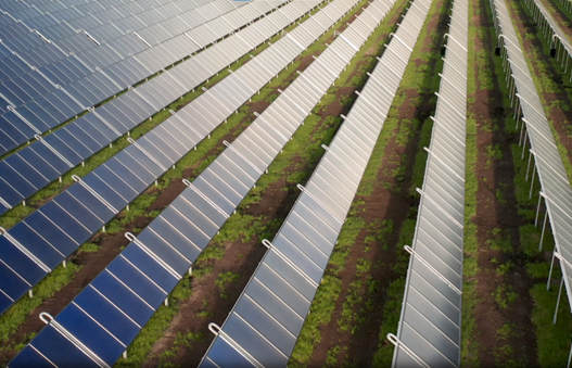 A solar panel farm