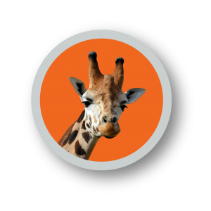 Verific giraffe