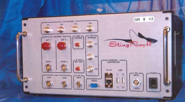 stingray